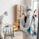 Уничтожение мокриц в квартире: как избавиться от этих нежелательных гостей